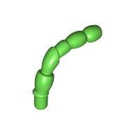 Insect Body Part, Antenna