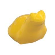 Animal, Frog em Amarelo