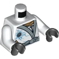 Torso, Robe with Silver Sash and Ice Power Emblem Print, White Arms, Black Hands