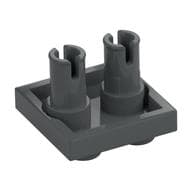 Plate Special 2 x 2 with 2 Pins