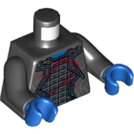 Torso, Robes with Silver Trim over Armor and Dark Red Wounds Print, Black Arms, Blue Hands