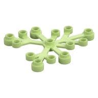 Plant, Leaves 6 x 5 em Verde amarelado