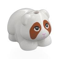 Animal, Guinea Pig with Dark Orange Face, Bright Pink Nose Print