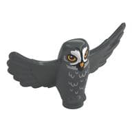 Animal, Bird, Owl Small with Open Wings, Bright Light Orange Eyes, Beak, White Face, Feathers Print