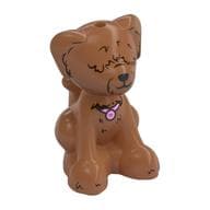 Animal, Dog, Small Sitting Dark Brown Fur Over Eyes, Bright Pink Collar Print