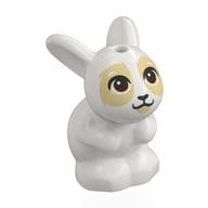 Animal, Rabbit / Bunny Sitting with Dark Brown Eyes, Tan Face Print em Branco