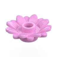 Plant, Sunflower 2 x 2 with 16 Petals em Rosa vivo