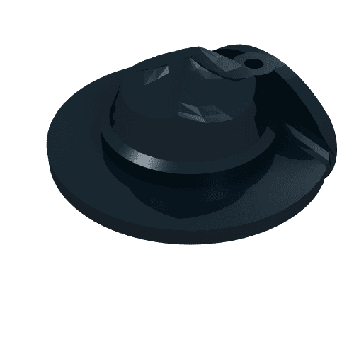 Hat Wide Brim Flat
