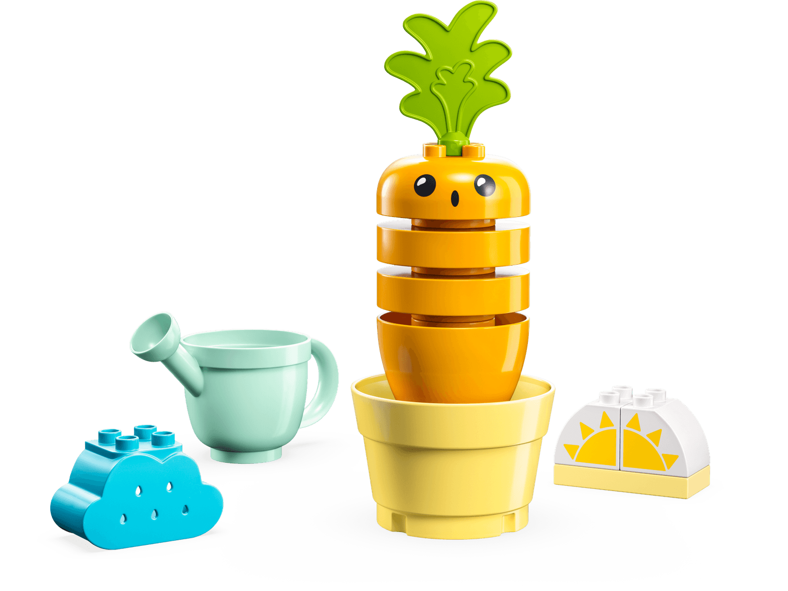 Growing Carrot