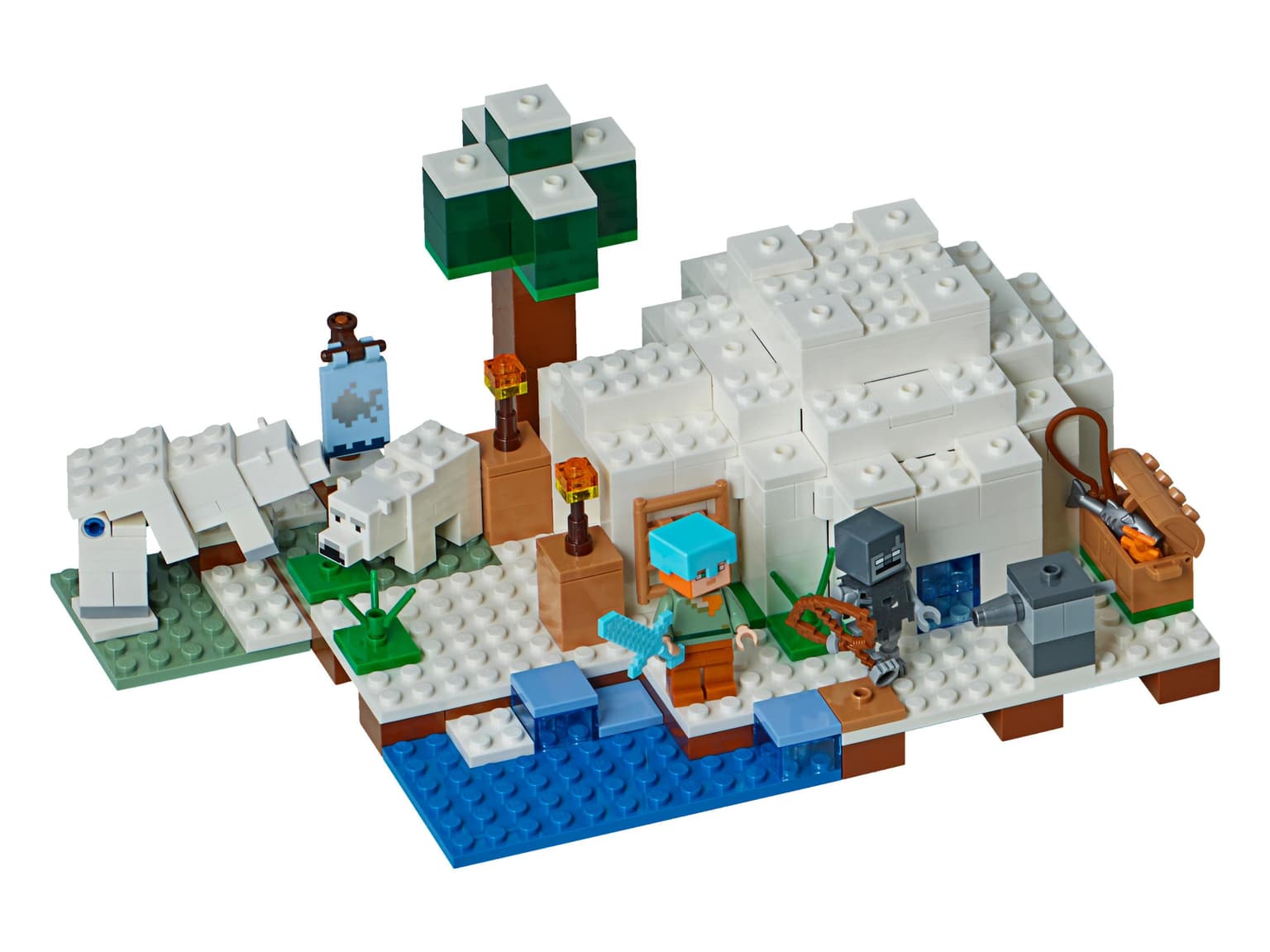 The Polar Igloo
