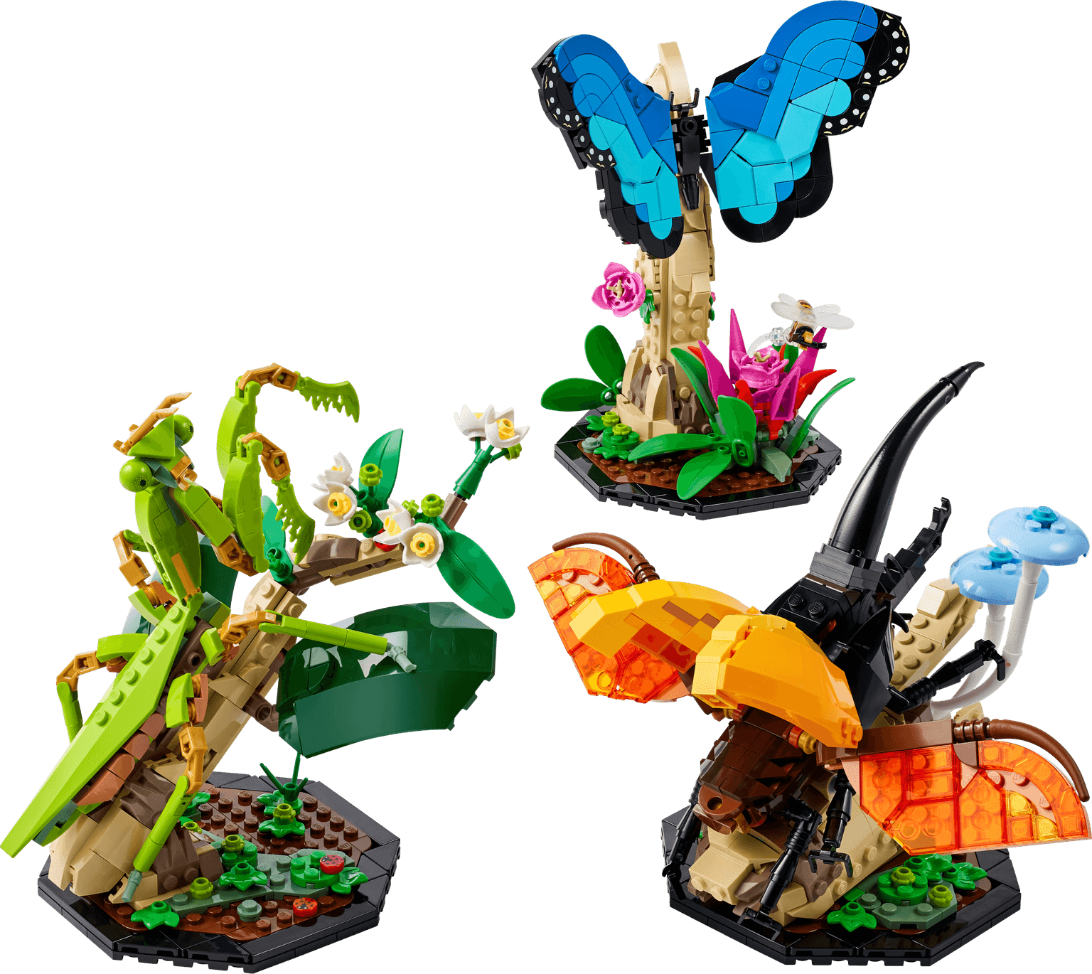 The Insect Collection