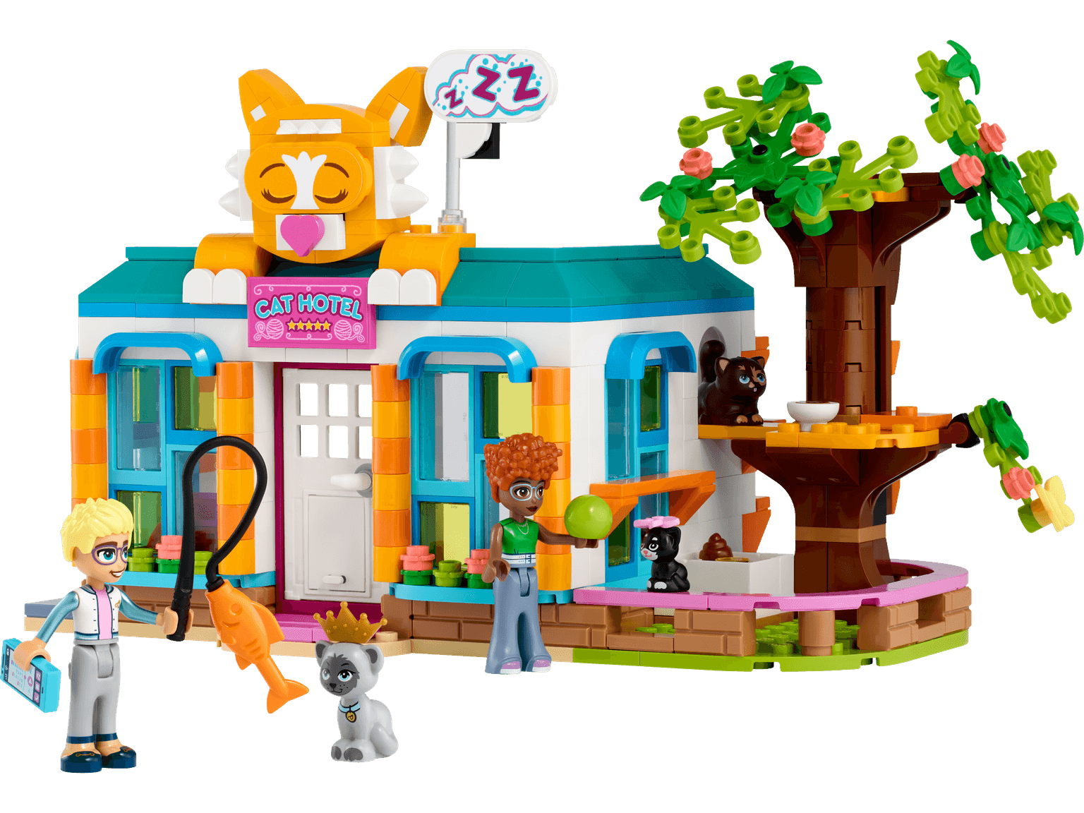 Cat Hotel
