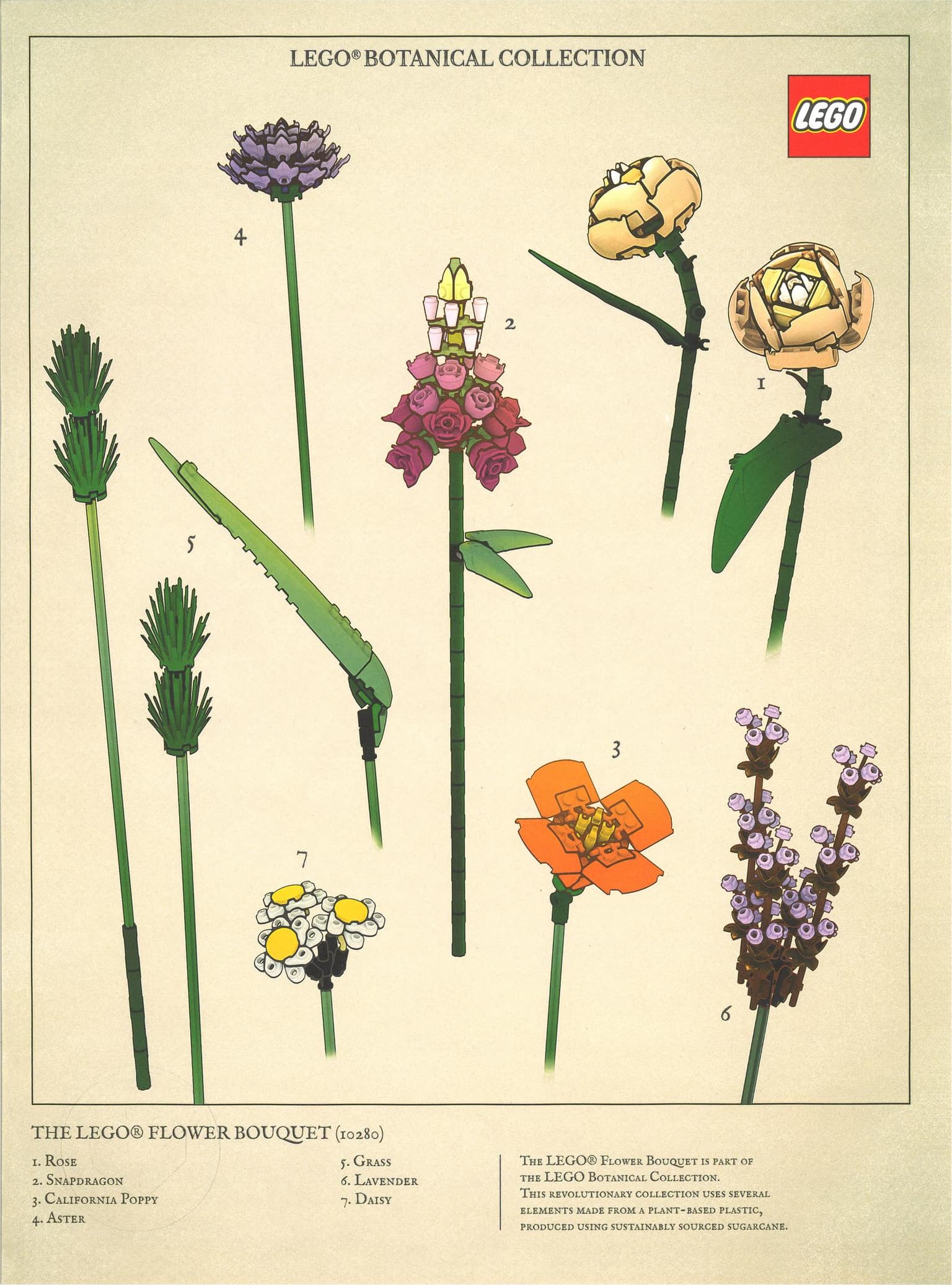 Botanical Collection Art Print – Bouquet