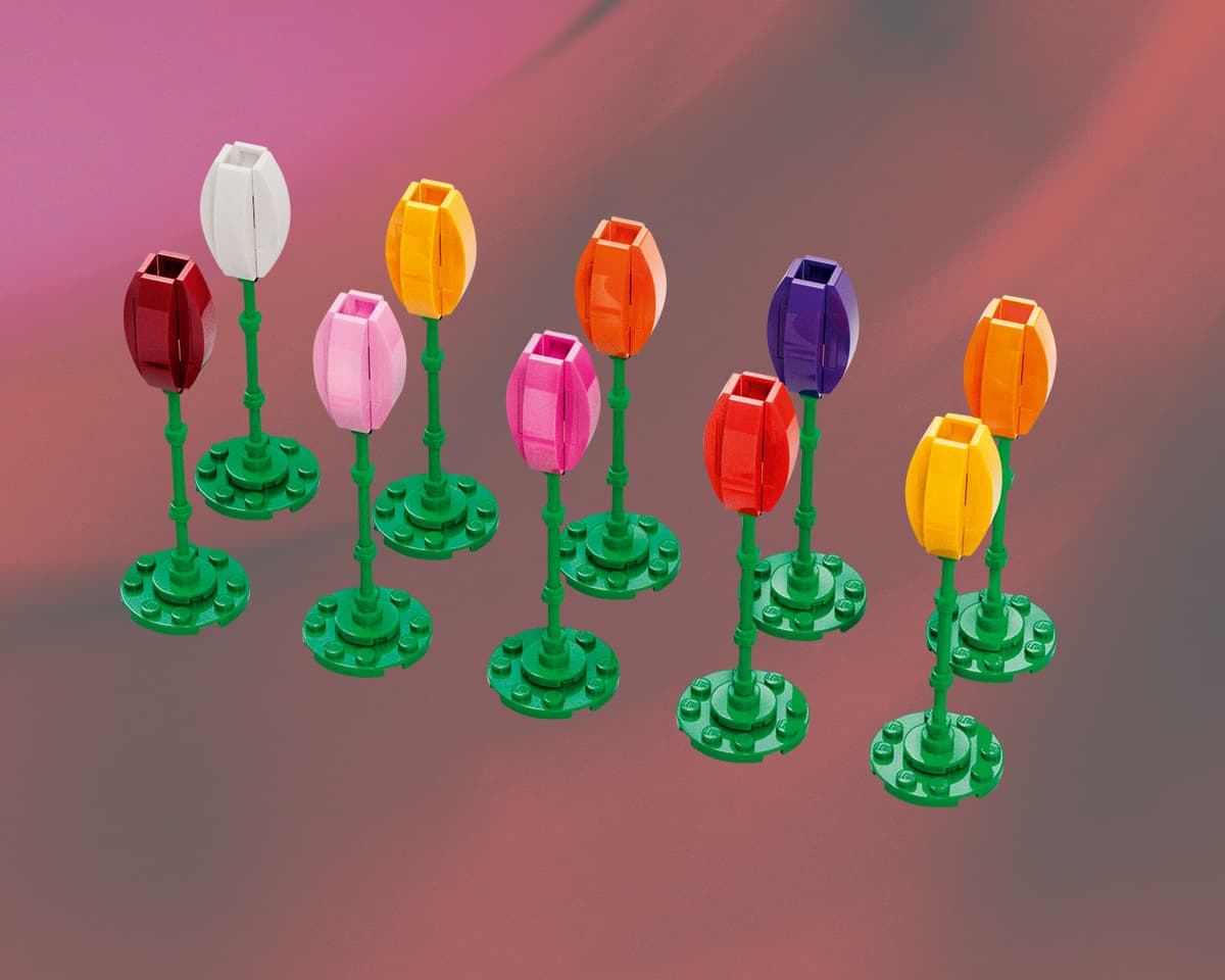 Tulips