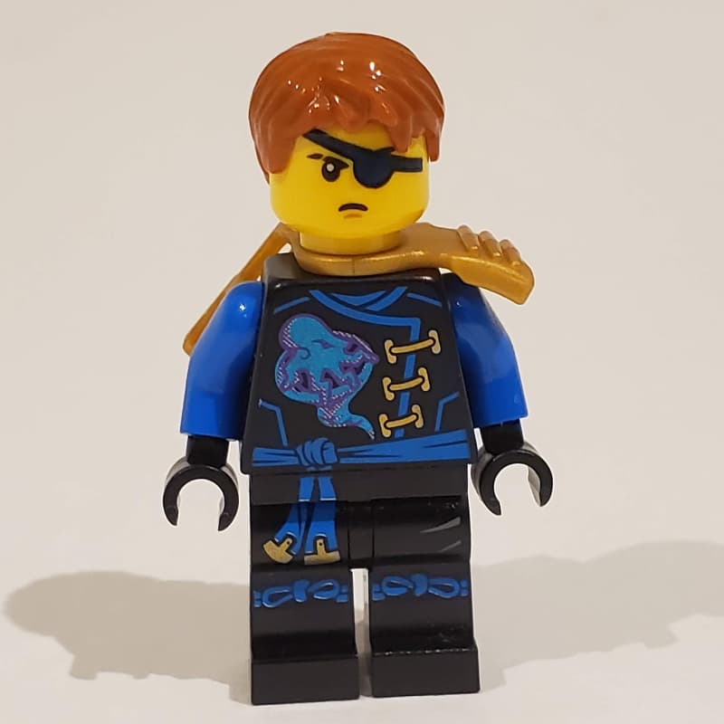 Jay with Eyepatch (Skybound)