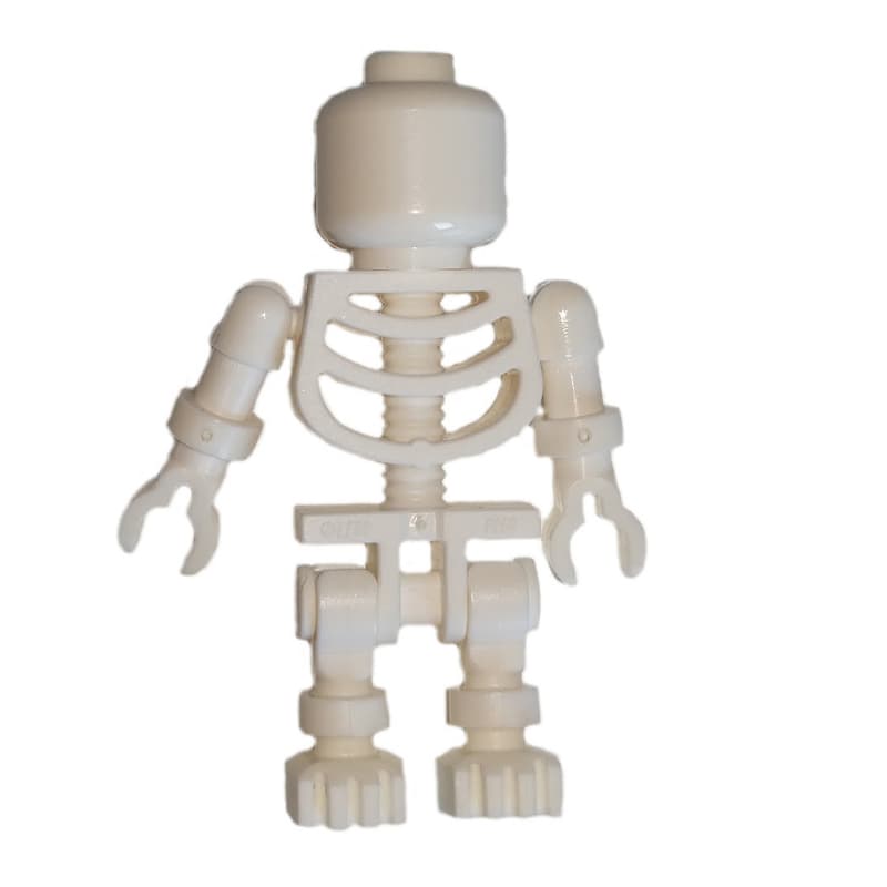 Skeleton, Plain Head
