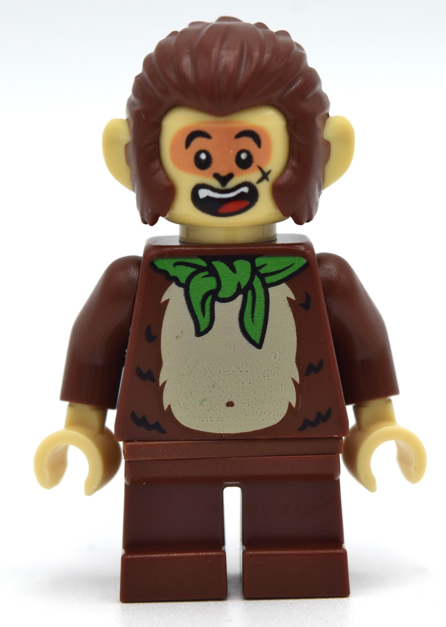 Brother Monkey