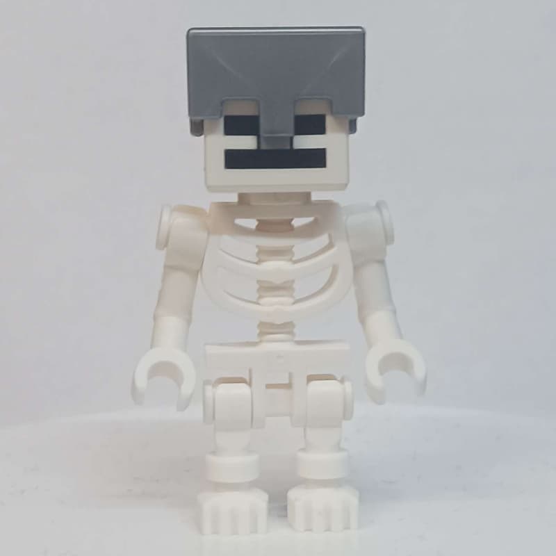 Skeleton, Square Skull, Silver Helmet (78132 Torso)