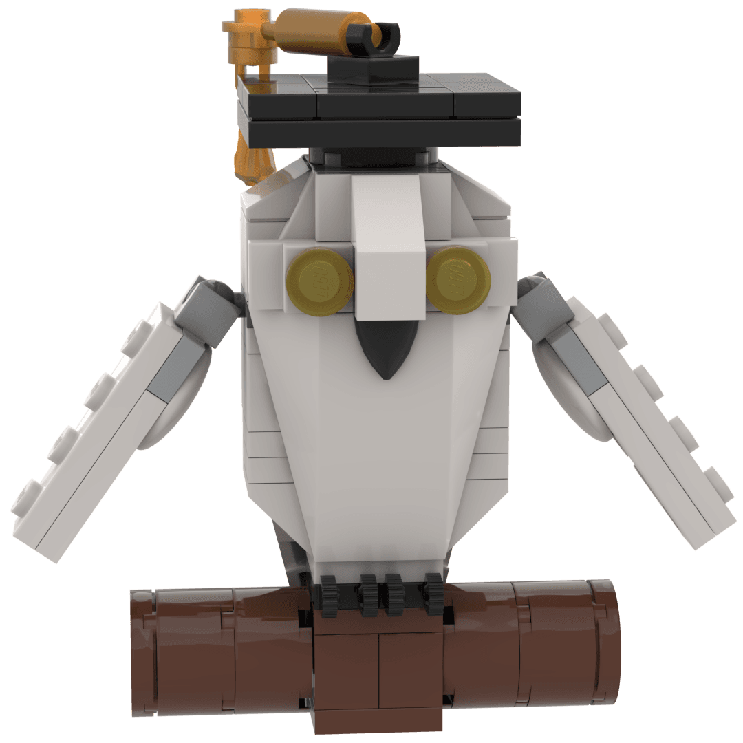 Graduate Owl