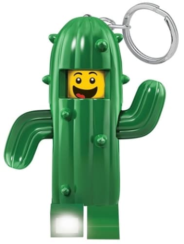 Cactus Boy Key Light